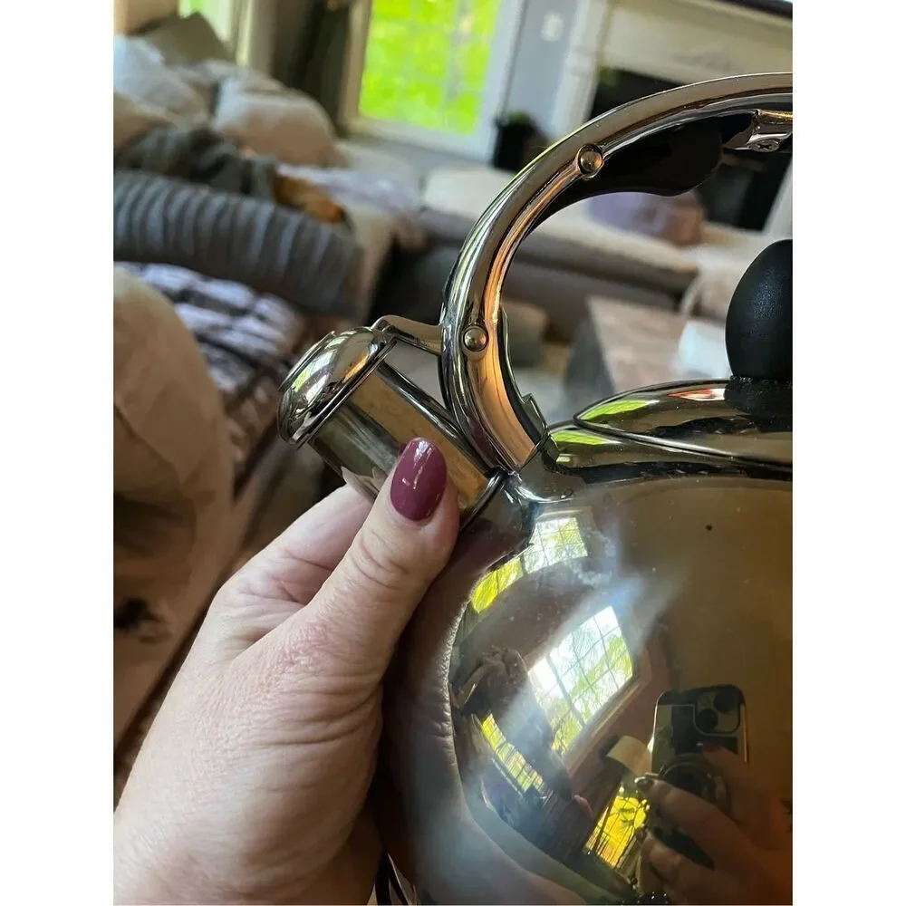 Susteas Silver Stainless Steel Whistling Tea Kettle